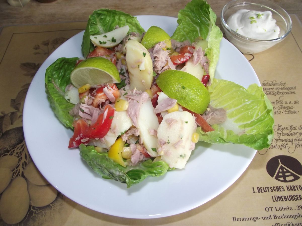 Kartoffel-Thunfisch-Salat | Heidefarmen Blog